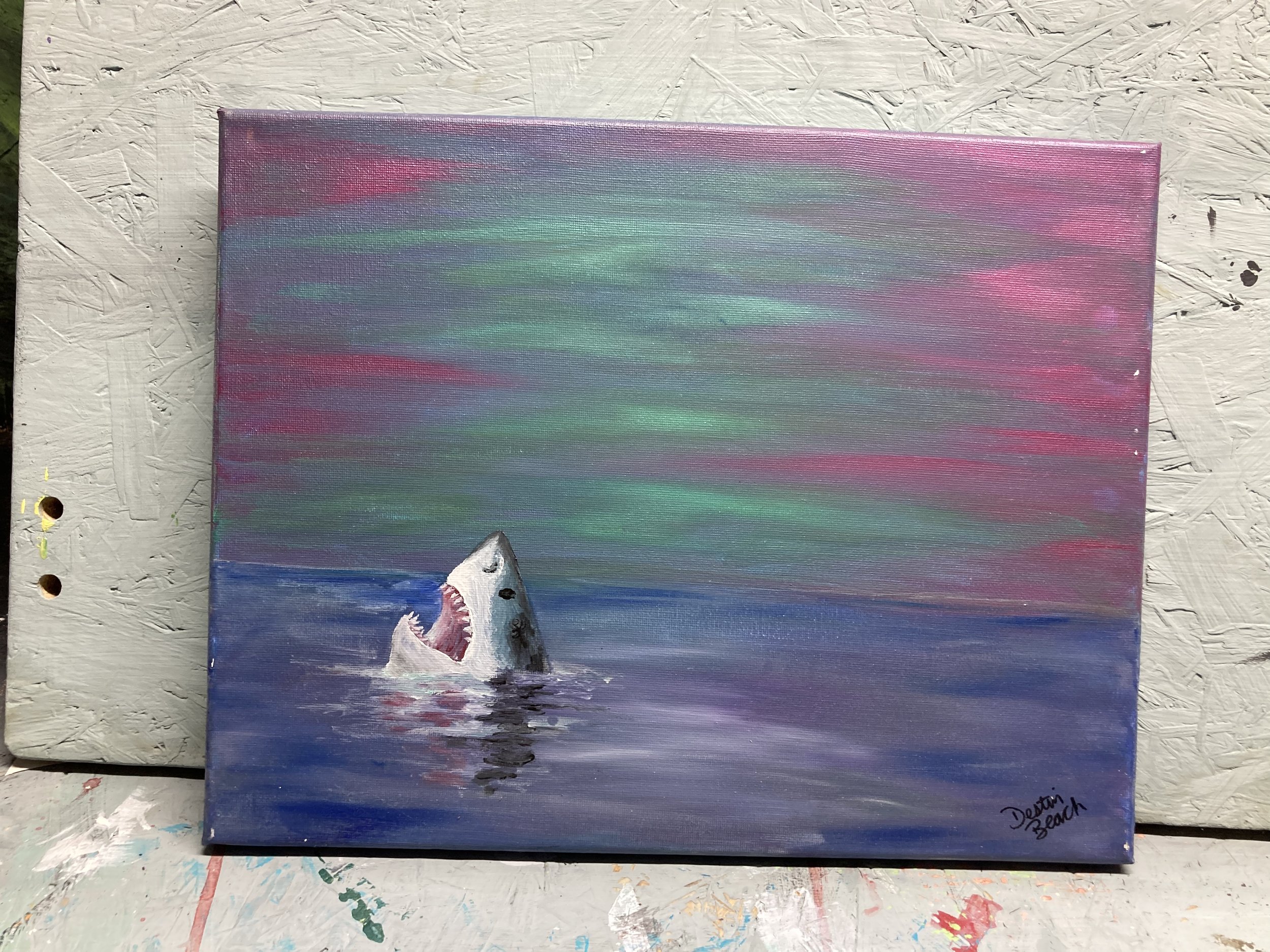 Shark