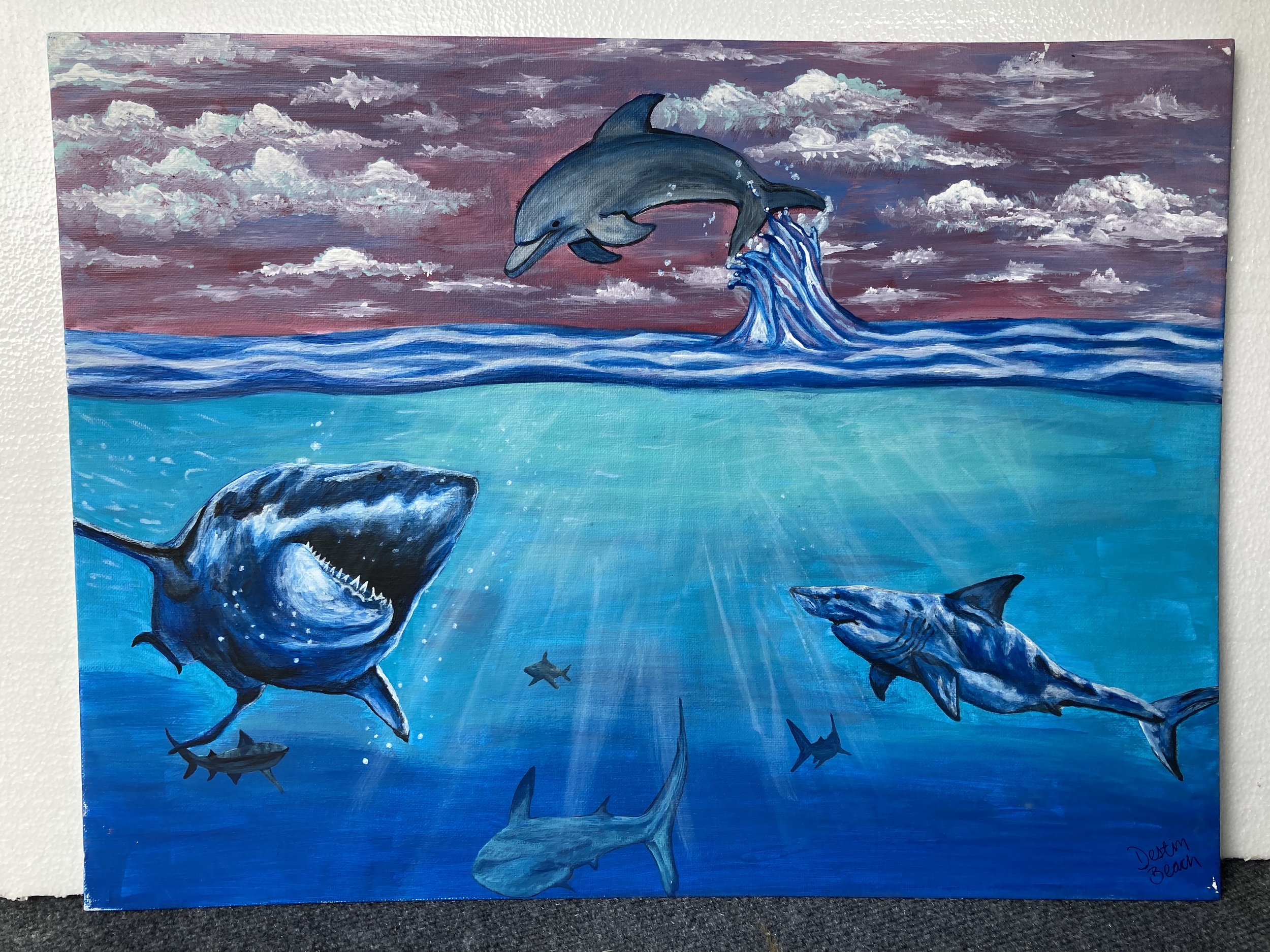 Shark Infested Waters
