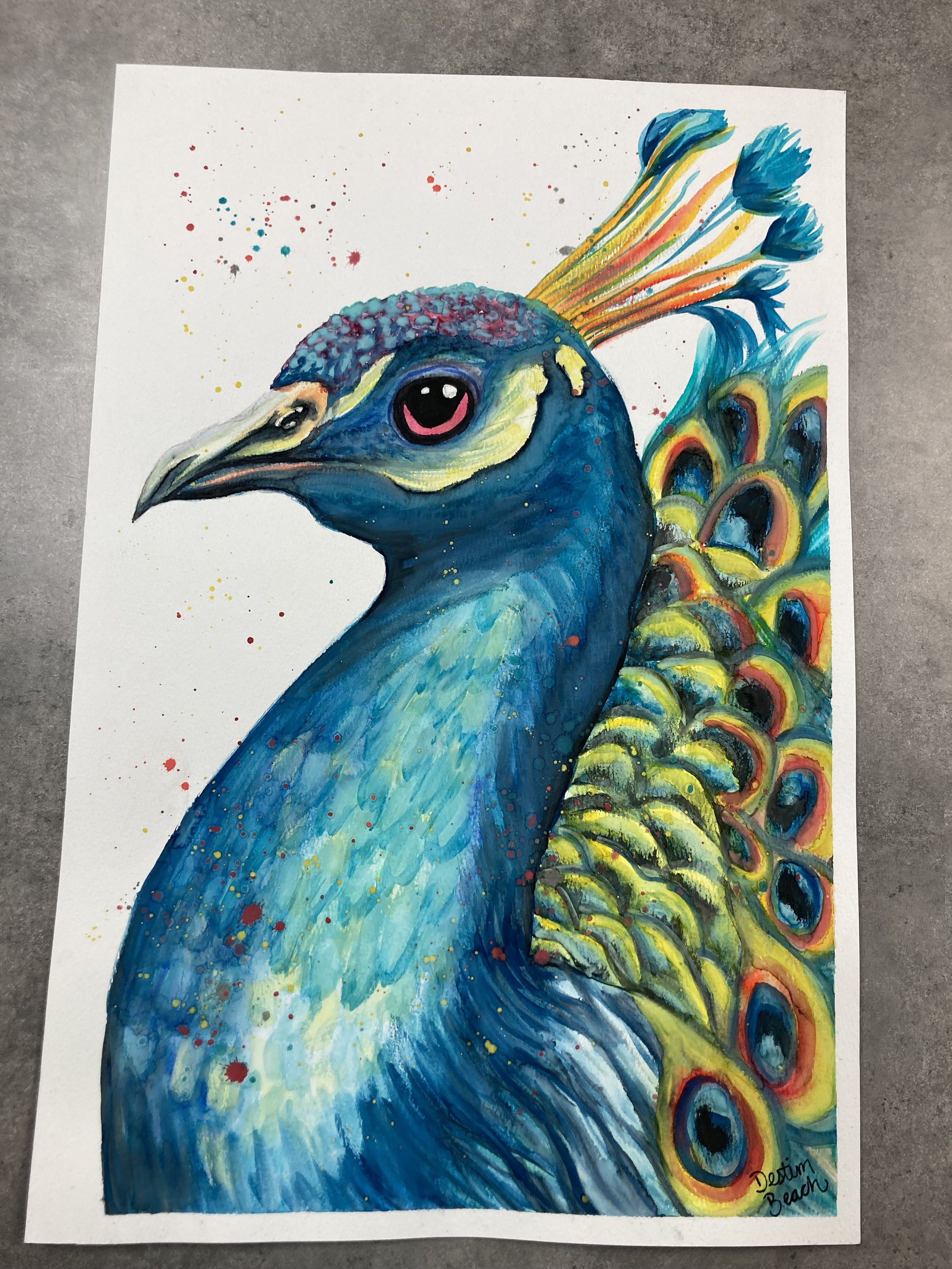 Peacock Pic.jpg