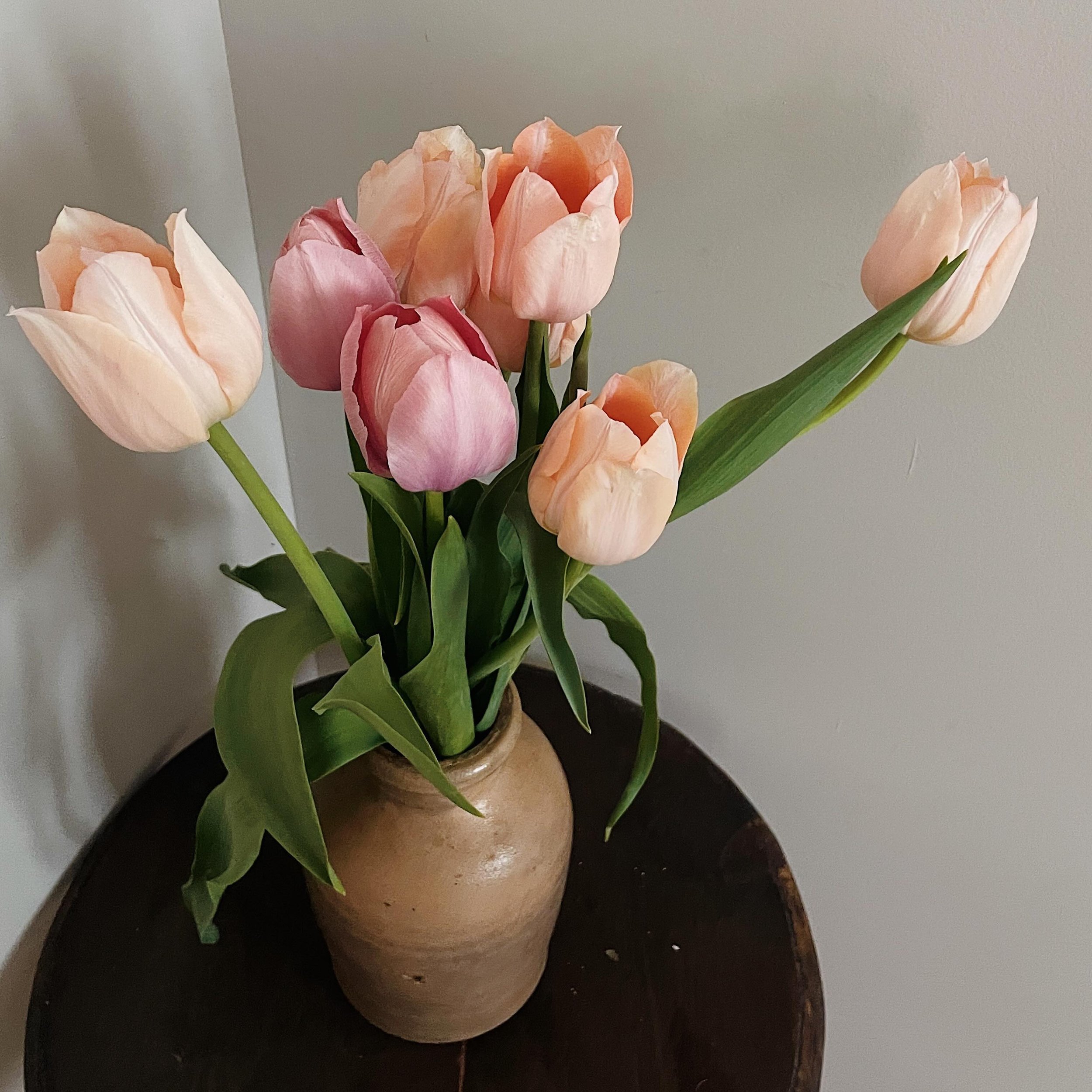 Will never get over tulips 🤍🌷✨ 

#flowerfarmer #flowerfarm #grandrapids #grandrapidsmi #grandrapidsmichigan #michiganflowers #grandrapidsflowers