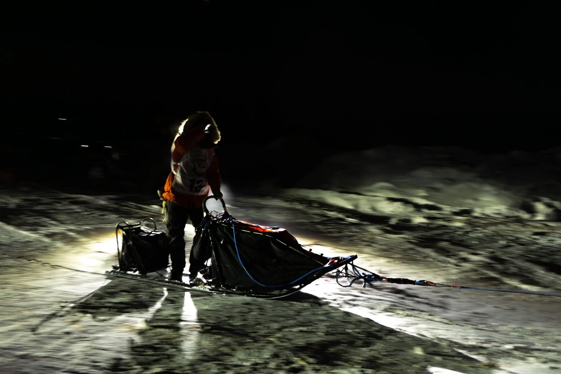 Moyles_musher-at-night_1800.jpg
