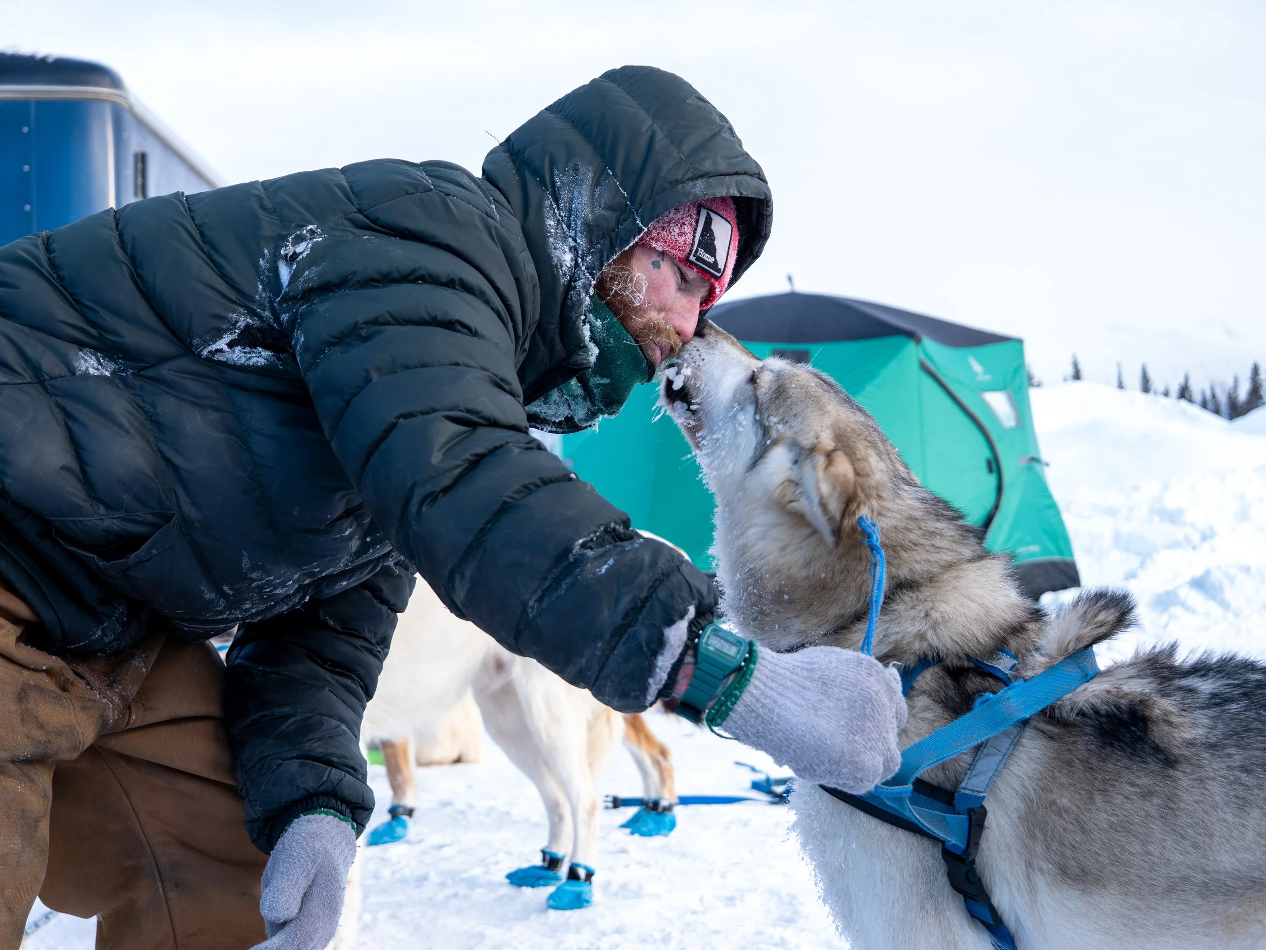 Michael Hamilton2.jpg