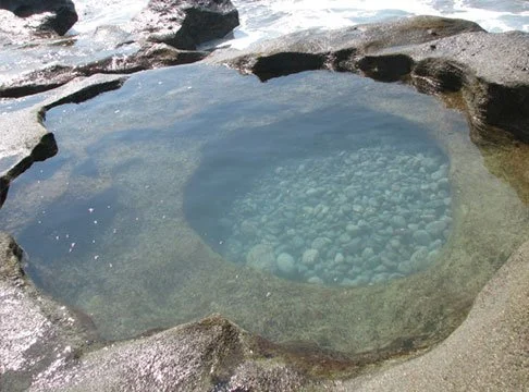 tide-pool.jpg