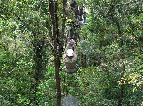 zip-lining1.jpg