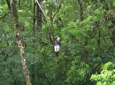 zip-lining2.jpg