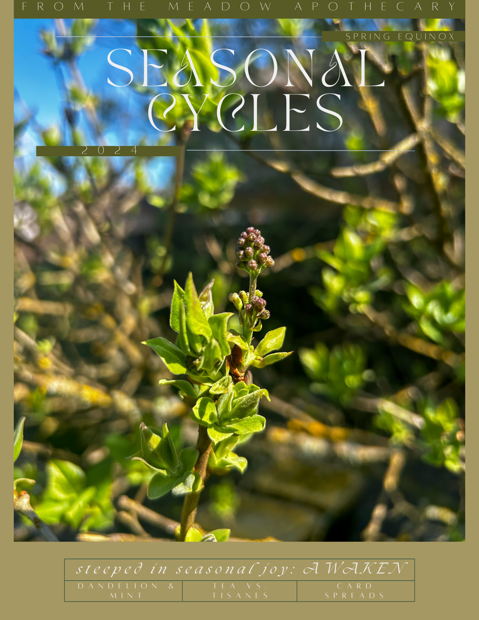SPRING 2024 SEASONAL CYCLES .png