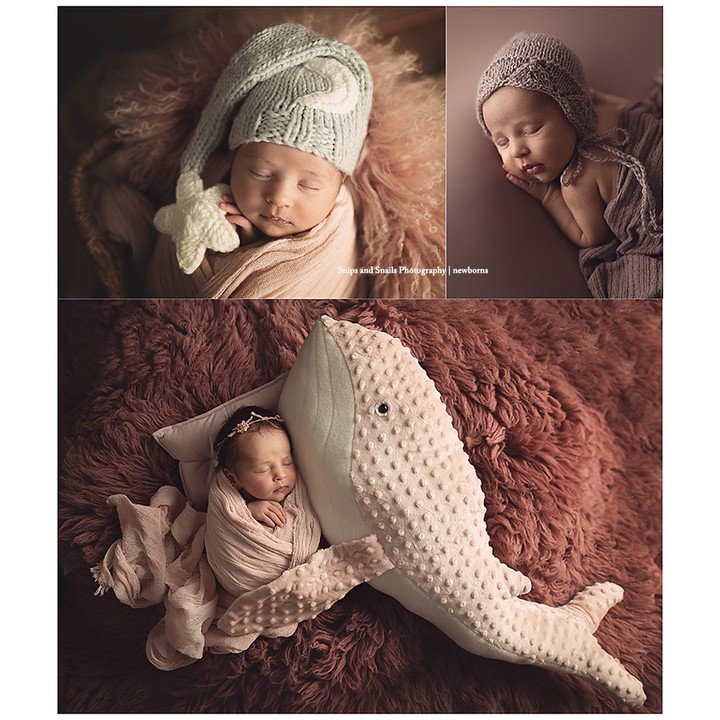 Back to newborns today! What a beautiful baby girl and love that her parents included some items from her celestial ocean themed nursery! 🐋🌙⭐️
www.SnipsAndSnailsPhotography.com
#celestial 
#whalenursery 
#moonnursery