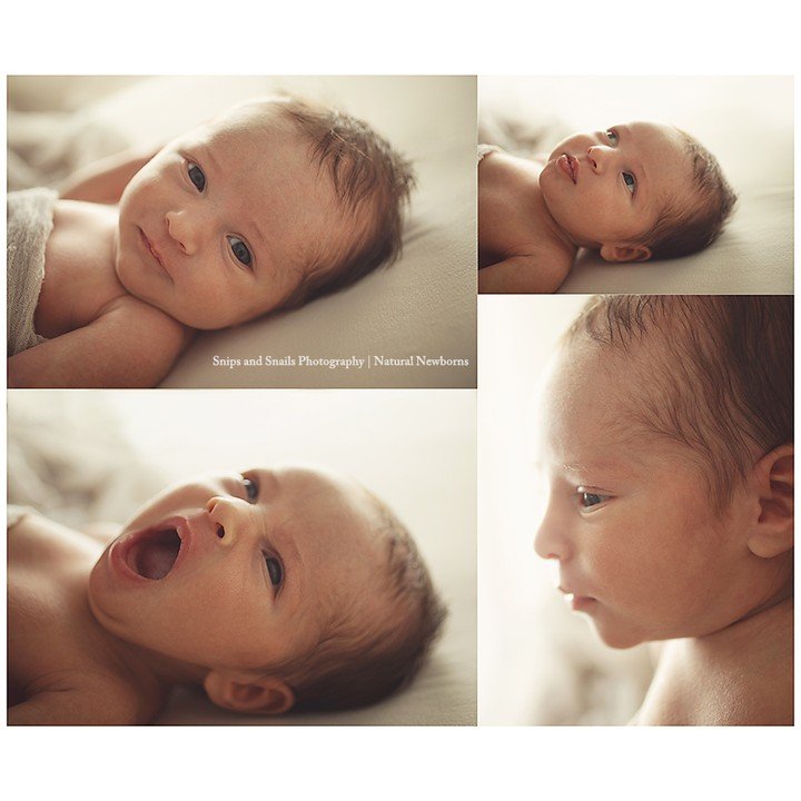 Love those natural newborn captures ❤️
#naturalnewborns 
#awakenewborns 
#newbornphotographer