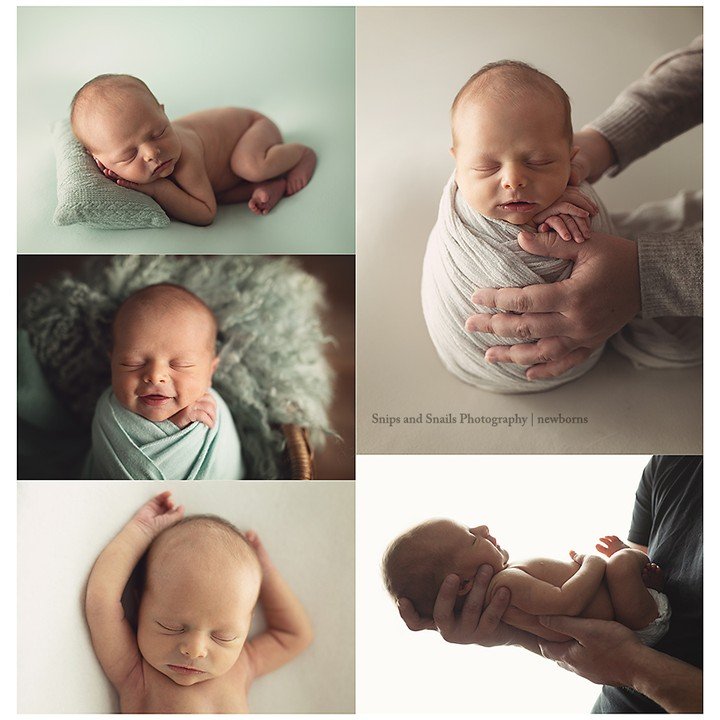 Handsome, relaxed little man to start off the week for Monday's session! LOVE this mint so much too! 💚💚💚
#bigdebut
#newbornphotographer
#chambersburgphotographer
#hagerstownphotographer
#newbornphotography