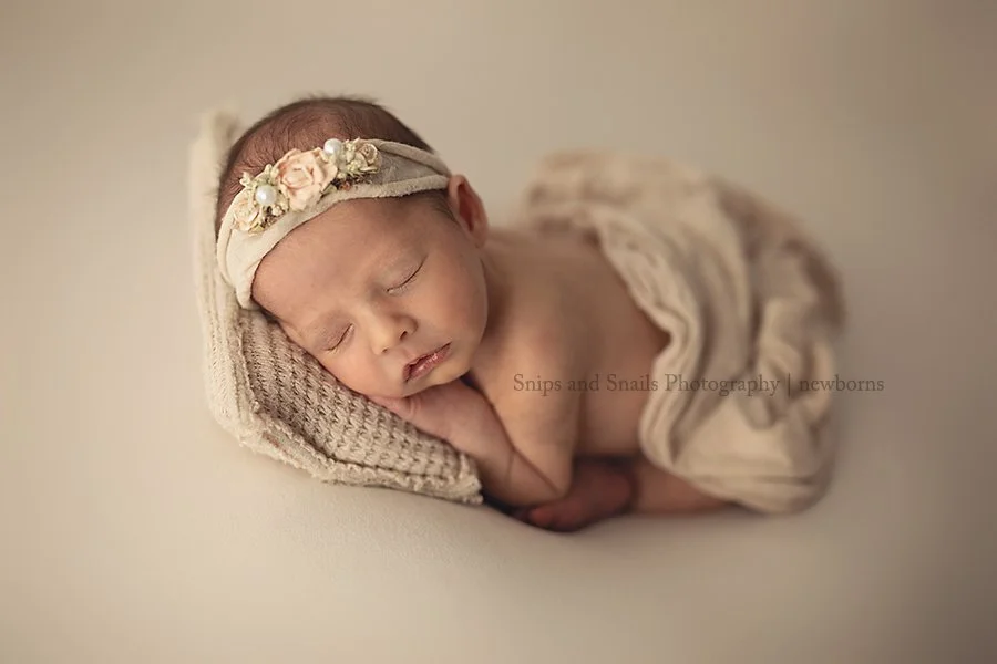 Love the soft neutrals! 
#newbornphotography
#hagerstownnewbornphotographer
#chambersburgnewbornphotographer
#hagerstownbabyphotographer
#chambersburgnewbornphotography
#pennsylvaniababyphotographer
#marylandnewbornphotographer
#newbornphotos
#greenc