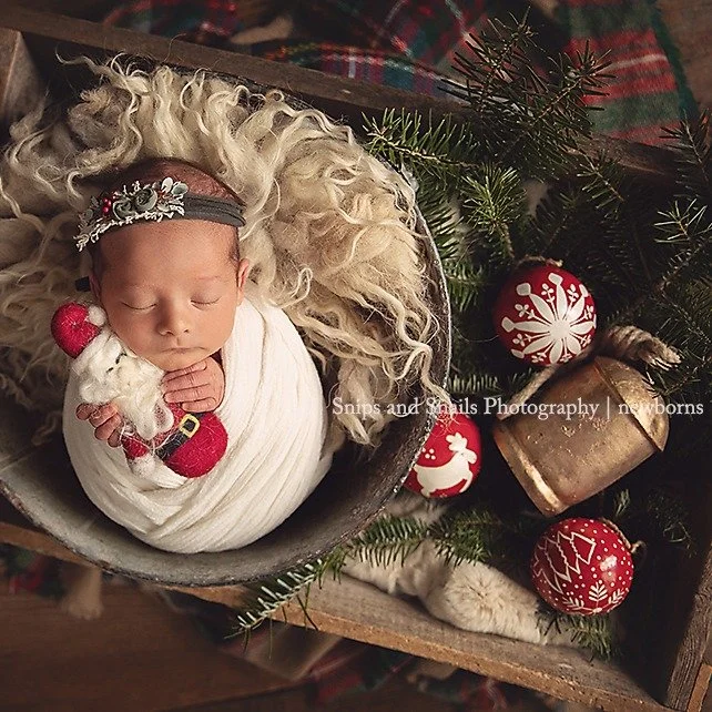 Have you sneaked a peek at our holiday promotions? 🧸🎄https://www.snipsandsnailsphotography.com/promotions

#christmasnewborns
#holidaynewborns
#christmasnewbornphotographer
#christmasnewbornphotography
#christmasphotographer
#christmasphotography
#