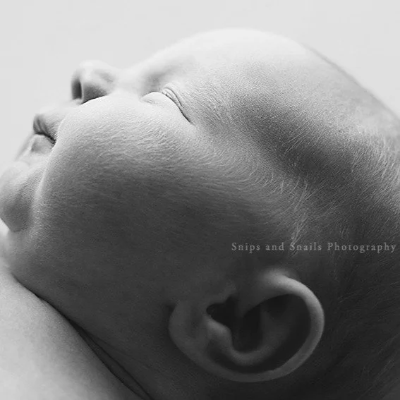 Anyone else love that soft, fine baby hair that covers delicate newborn skin?
 #newbornmacrophotography
#newbornphotographerchambersburg
#newbornphotoshagerstown
#macrophotography
#newbornphotography 
#naturalnewbornphotography