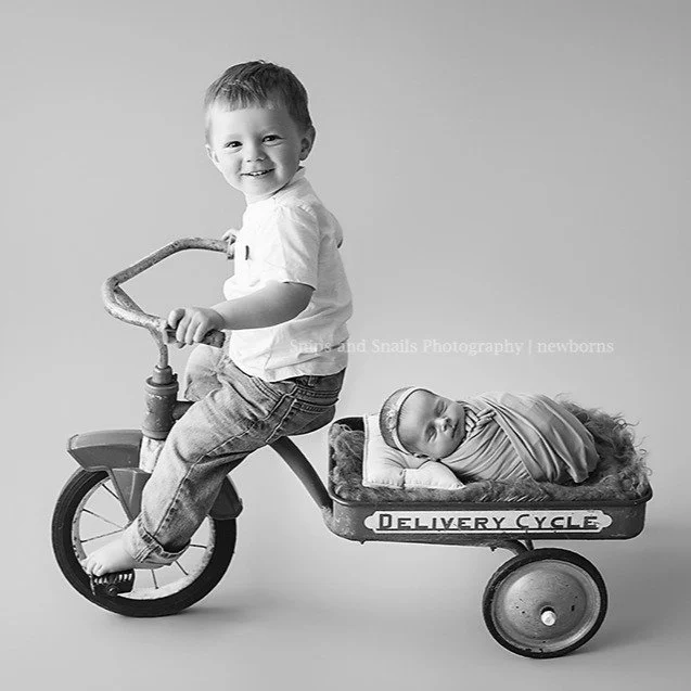 I've had this trike forever and it is one of the best ways to capture an active young sibling with a newborn! Always generates a genuine smile! ❤️
#siblings
#newbornphotographernearme
#siblingnewborn
#newbornphotography
#siblingnewbornphotography
#ha