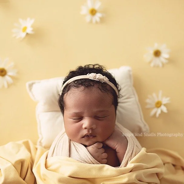 When your nursery is sunshine and daisies...🔆🌞
#hagerstownphotographer
#wvphotographer
#chambersburgphotographer
#waynesboropafamilyphotographer
#greencastlephotographer