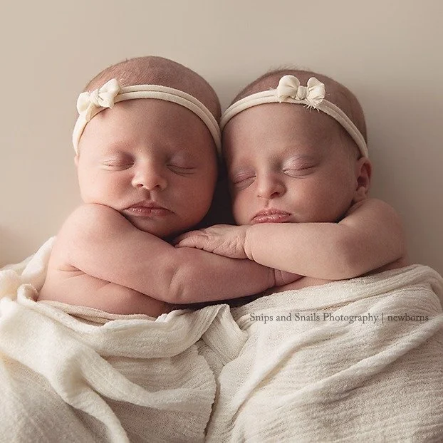 Twinning! 🩷🩷
#identicaltwins
#newborntwins
#newbornphotographer
#hagerstownphotographer
#martinsburgphotographer
#chambersburgphotographer
#waynesborophotographer
#newbornphotography