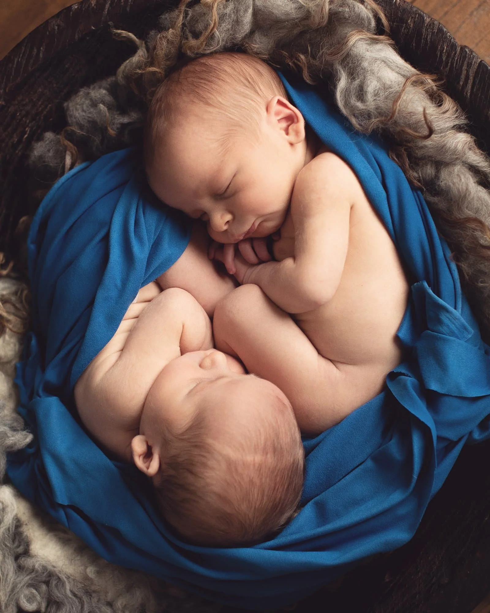 newborn twins with royal blue fabric accent posed in bowl as babies would be positioned in mom's belly
