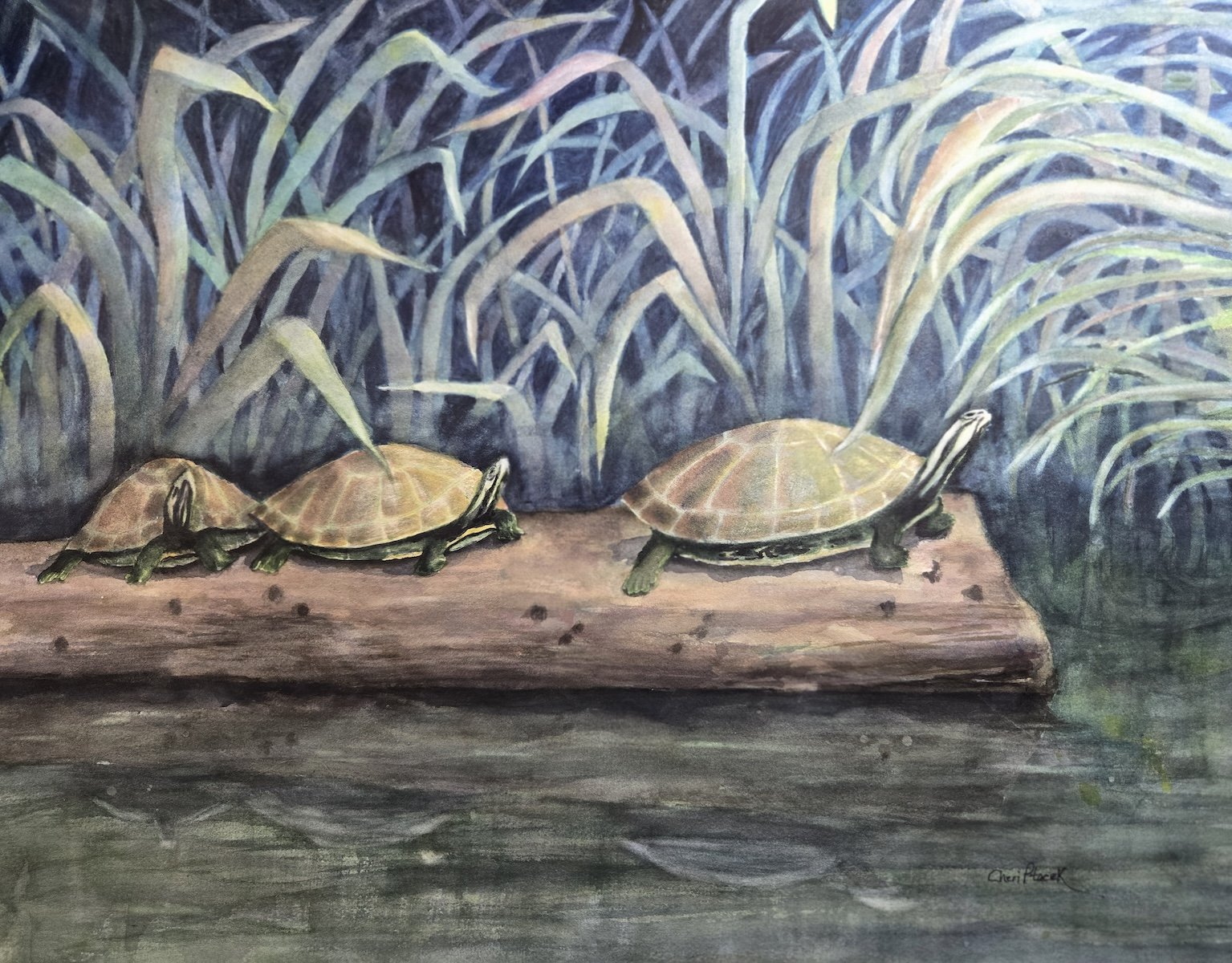 Three's Company, 30"x24", watercolor, $475