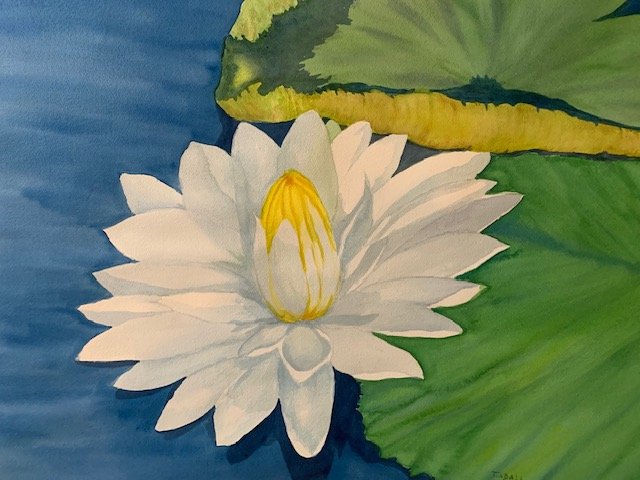 Awakening Light, 32"x27", watercolor, $475