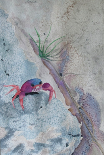 Shoreline Treasure, 16"x20", watercolor, $300