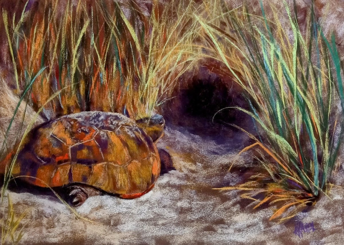 Hading Home, 11"x14", pastel, Sold
