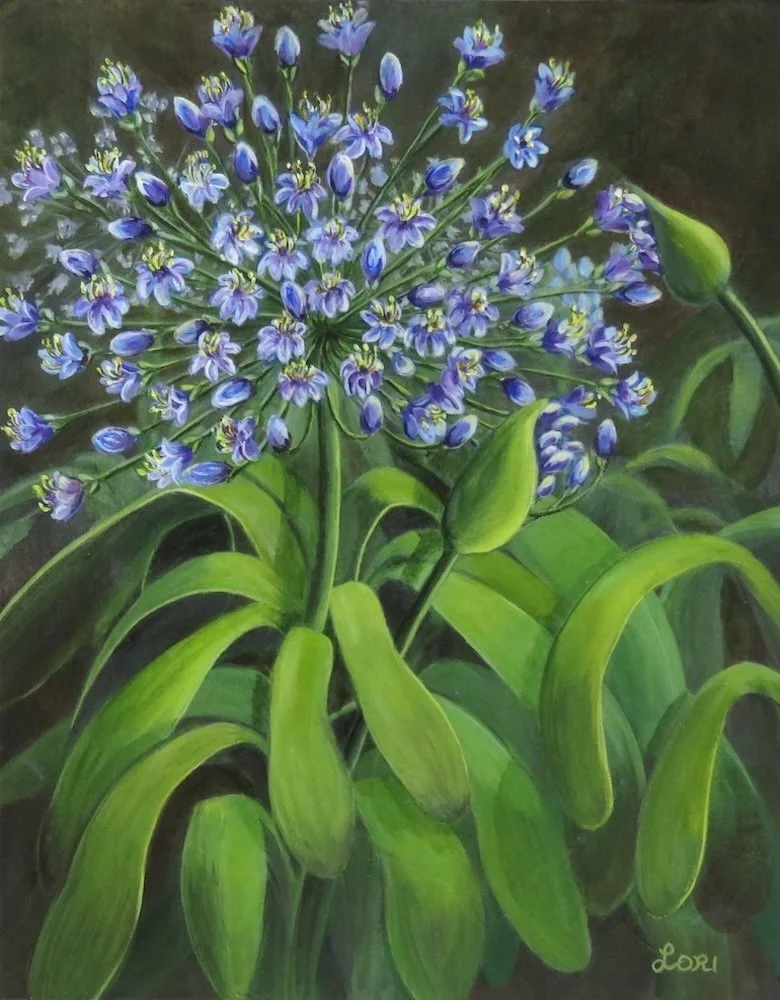 
Agapanthus, 14"x11", acrylic, NFS