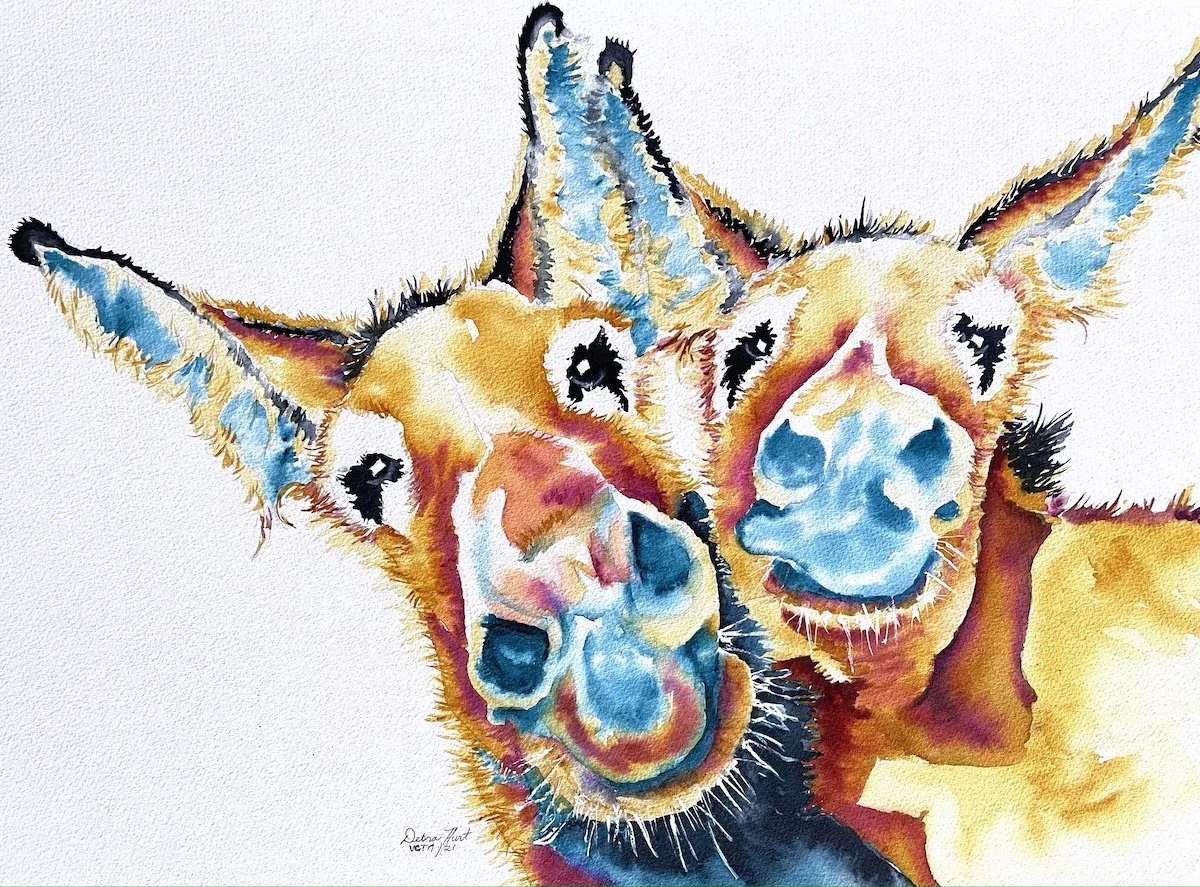 Two Asses, 11"x22", watercolor, $450