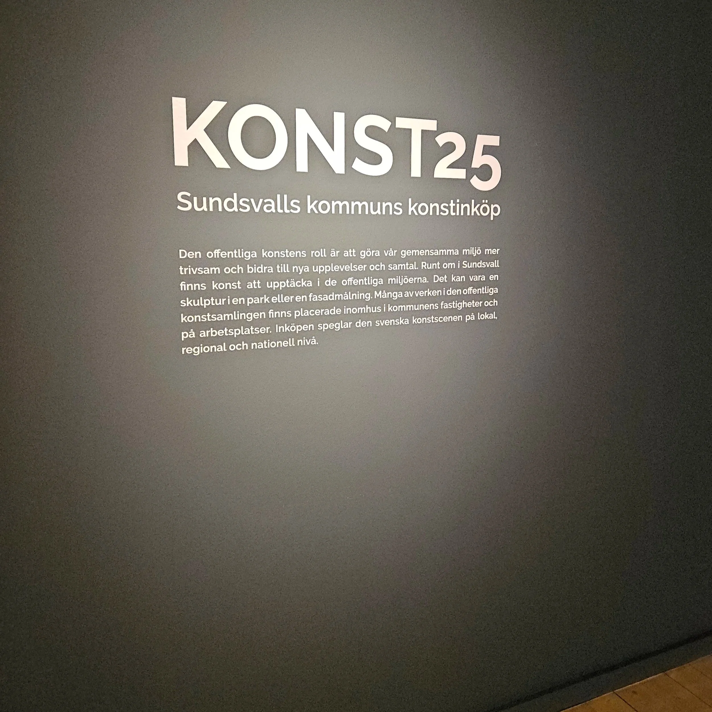 Konst25 på Sundsvalls museum