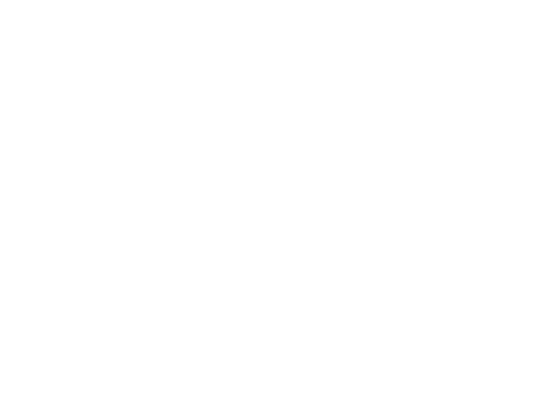 Anima felis Creative Space