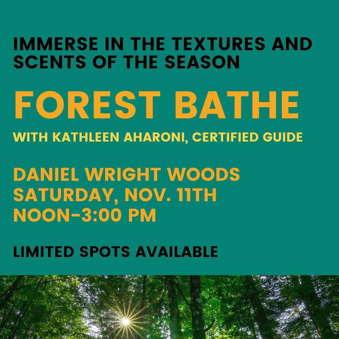 &ldquo;Ignite your wild, your calm, your knowing and your oneness with self and nature. &ldquo;
- Kathleen Aharoni, Certified Guide

Mother Ruckers North Shore is excited to offer this opportunity for an easy wander (the opposite of a ruck!) that&rsq