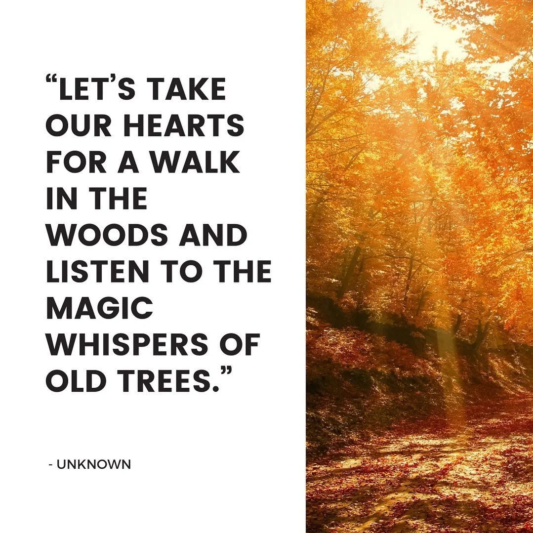 I can&rsquo;t think of a time when I&rsquo;ve been more grateful for an autumn walk in the woods, and the healing power of community. 

Please join me tomorrow at 8 am as @motherruckers_community and @trail_sisters_chicago_nw team up for a Run or Ruc