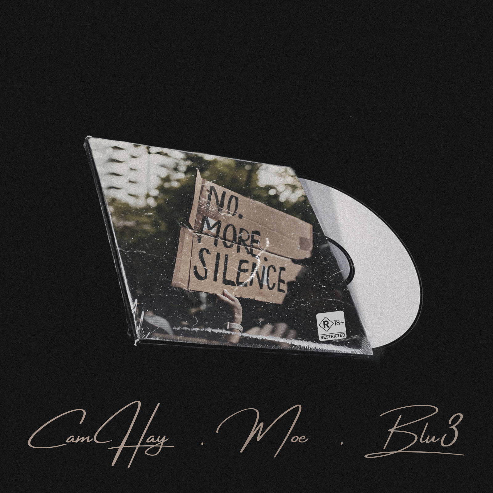 Person holding a cardboard sign that reads 'NO MORE SILENCE', with trees and a fence in the background.