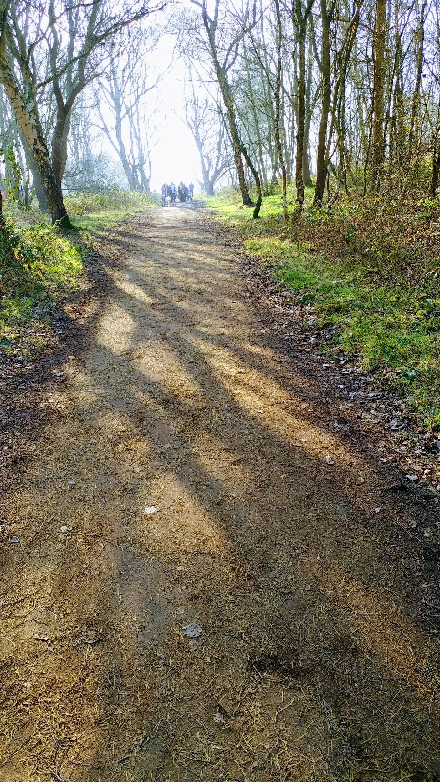 Pilgrimage  - Return to Source,   Thursday, 10am - 3.30pm, 11th December 2025