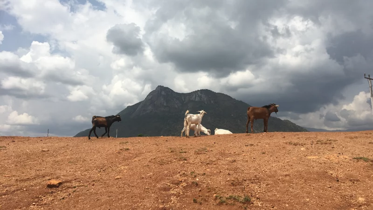 west pokot 3.png