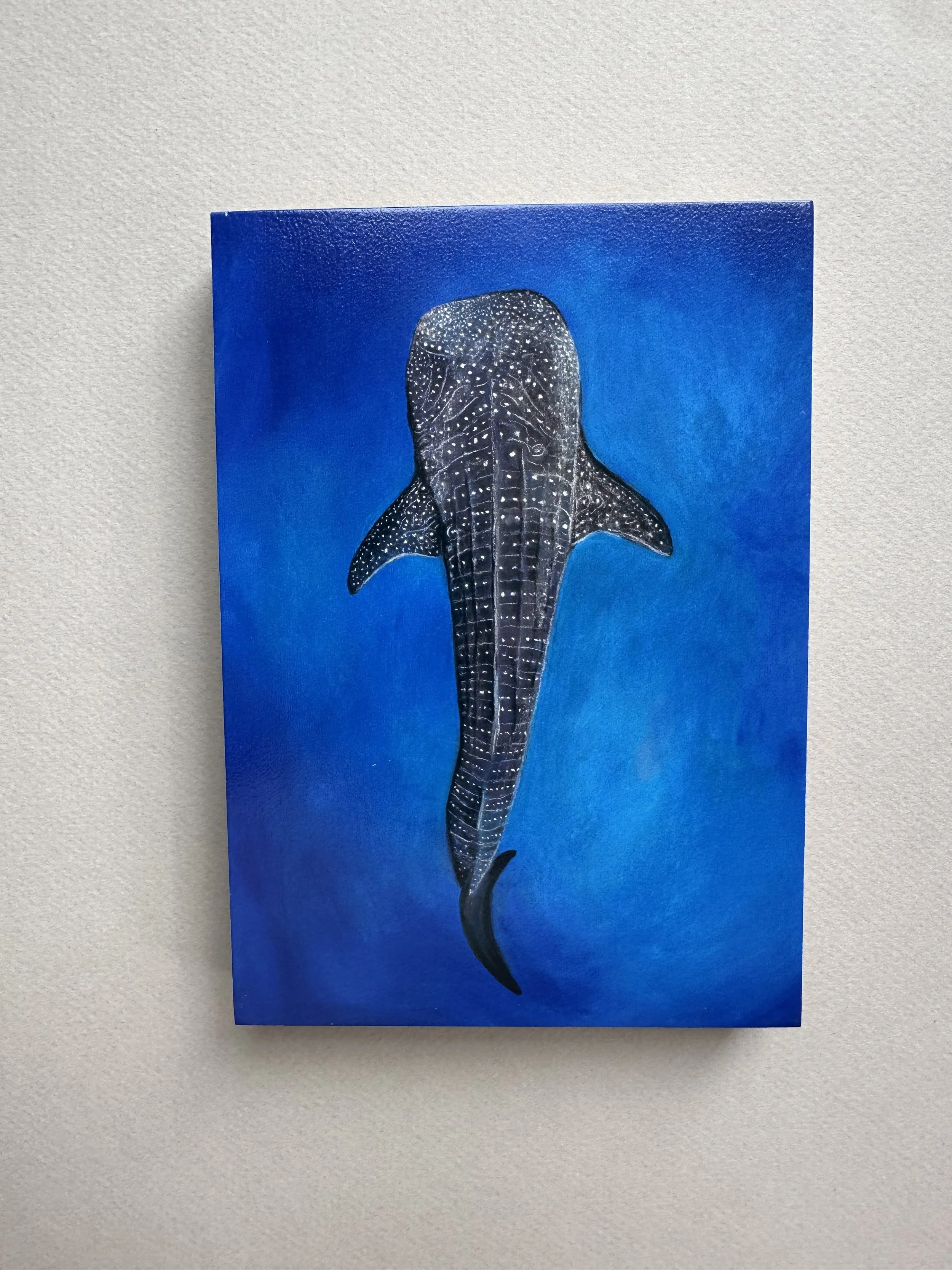 Whale Shark Wood Panel Print