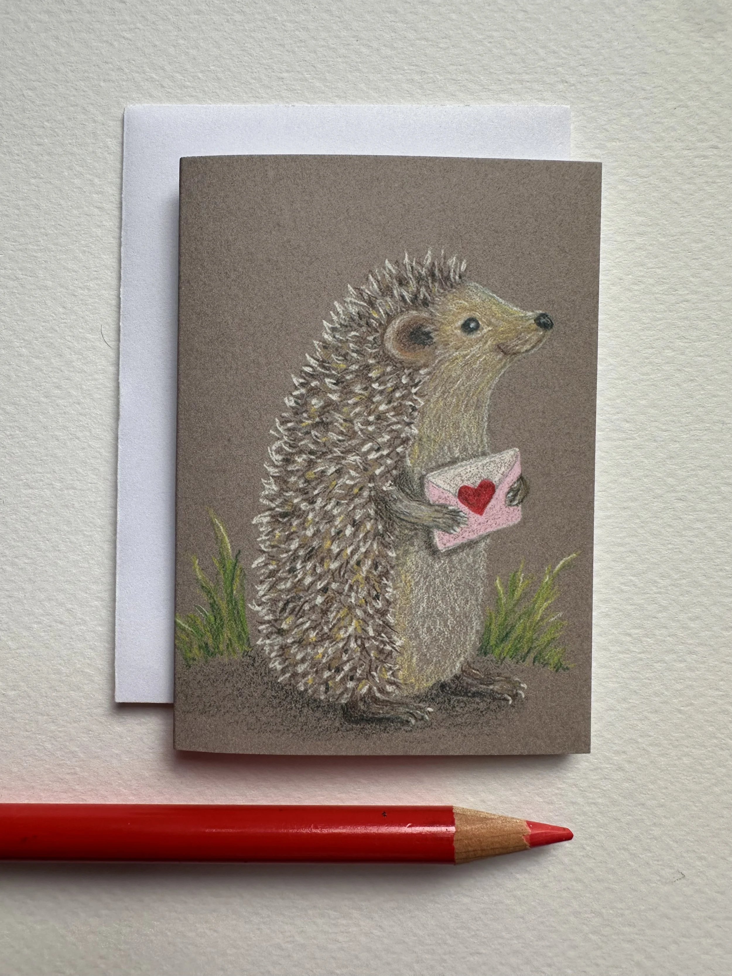 Hedgehog Gift Enclosure Card