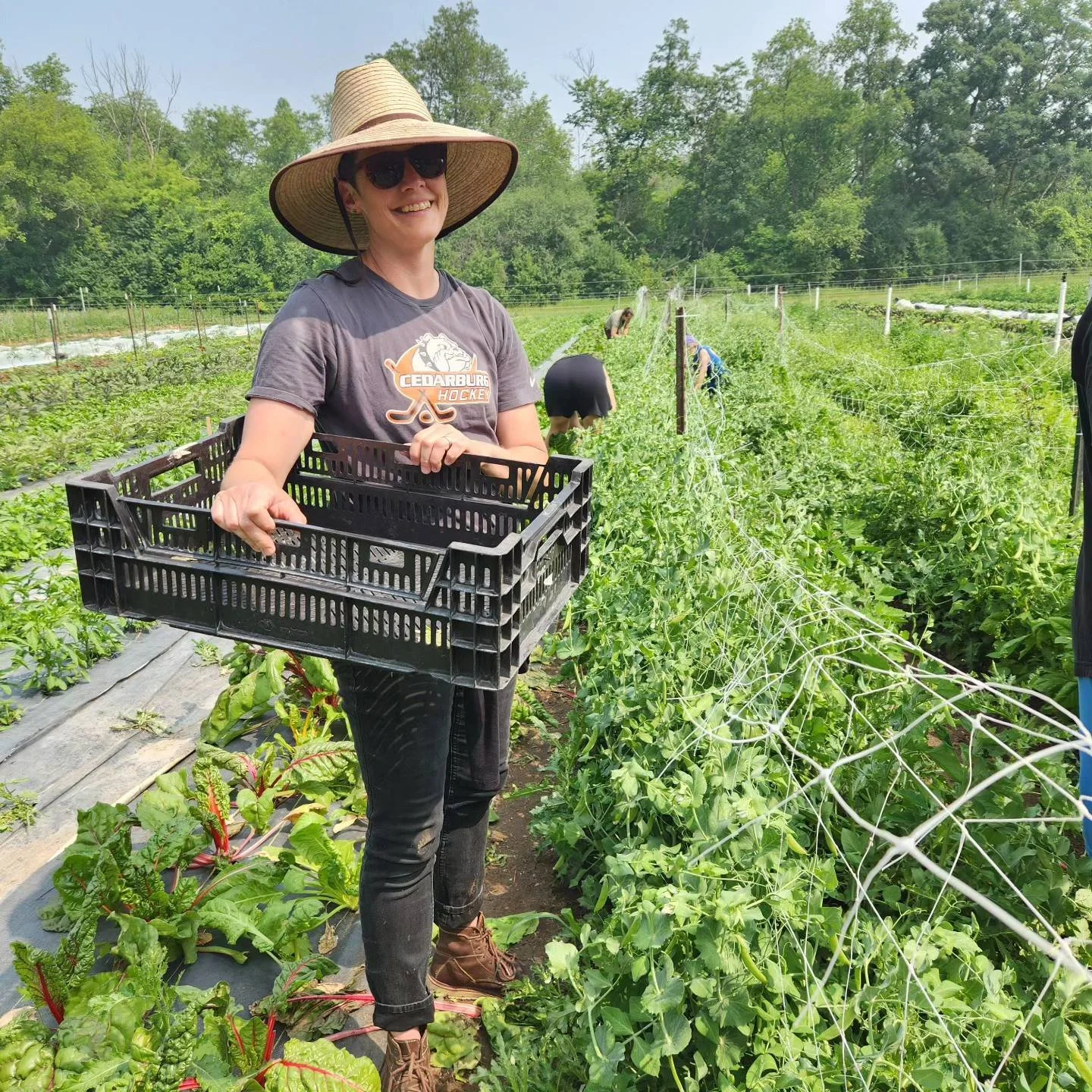 Your Farm Summer: PPE recs for working outside