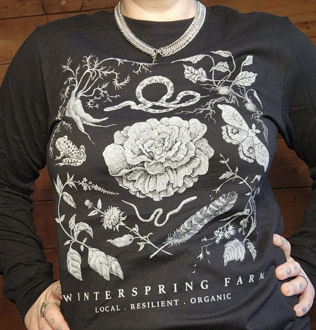 Screenshot 2026-02-24 125655.png