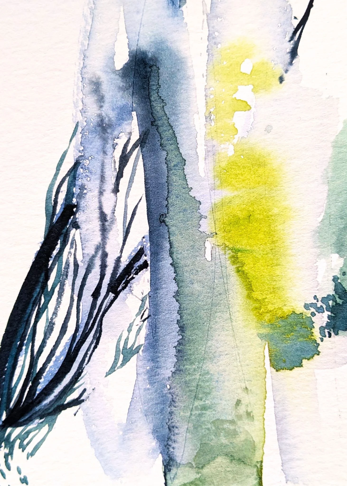 Untitled design-5.jpg