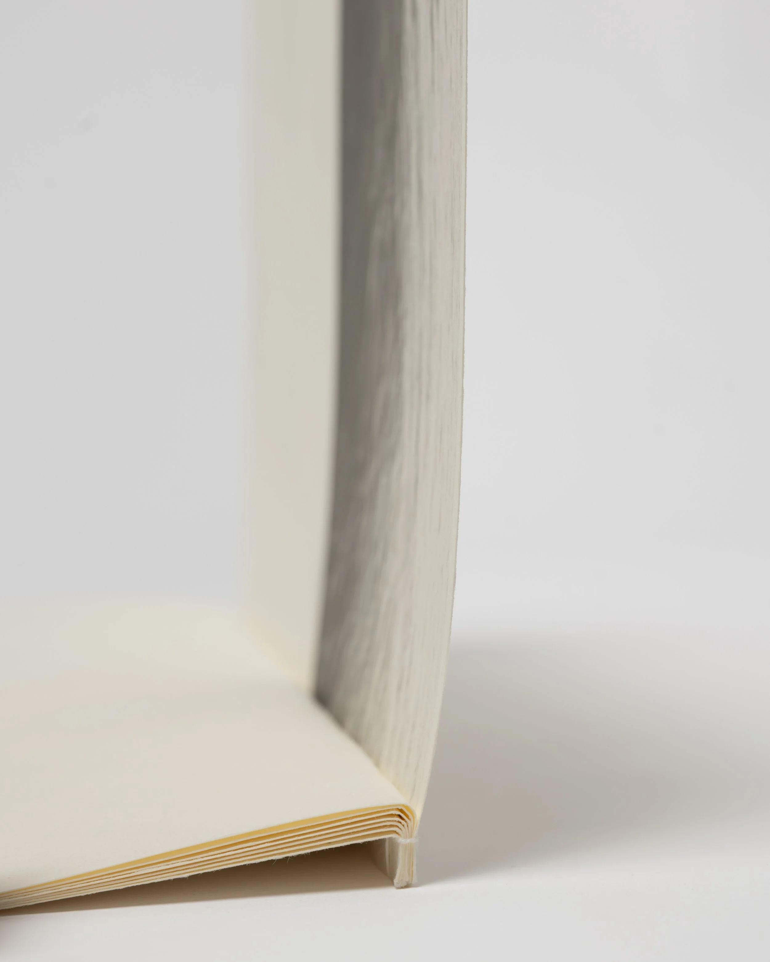 L1120016.jpg