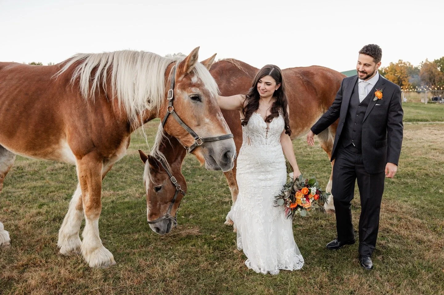 Just a quiet moment with some gentle souls..