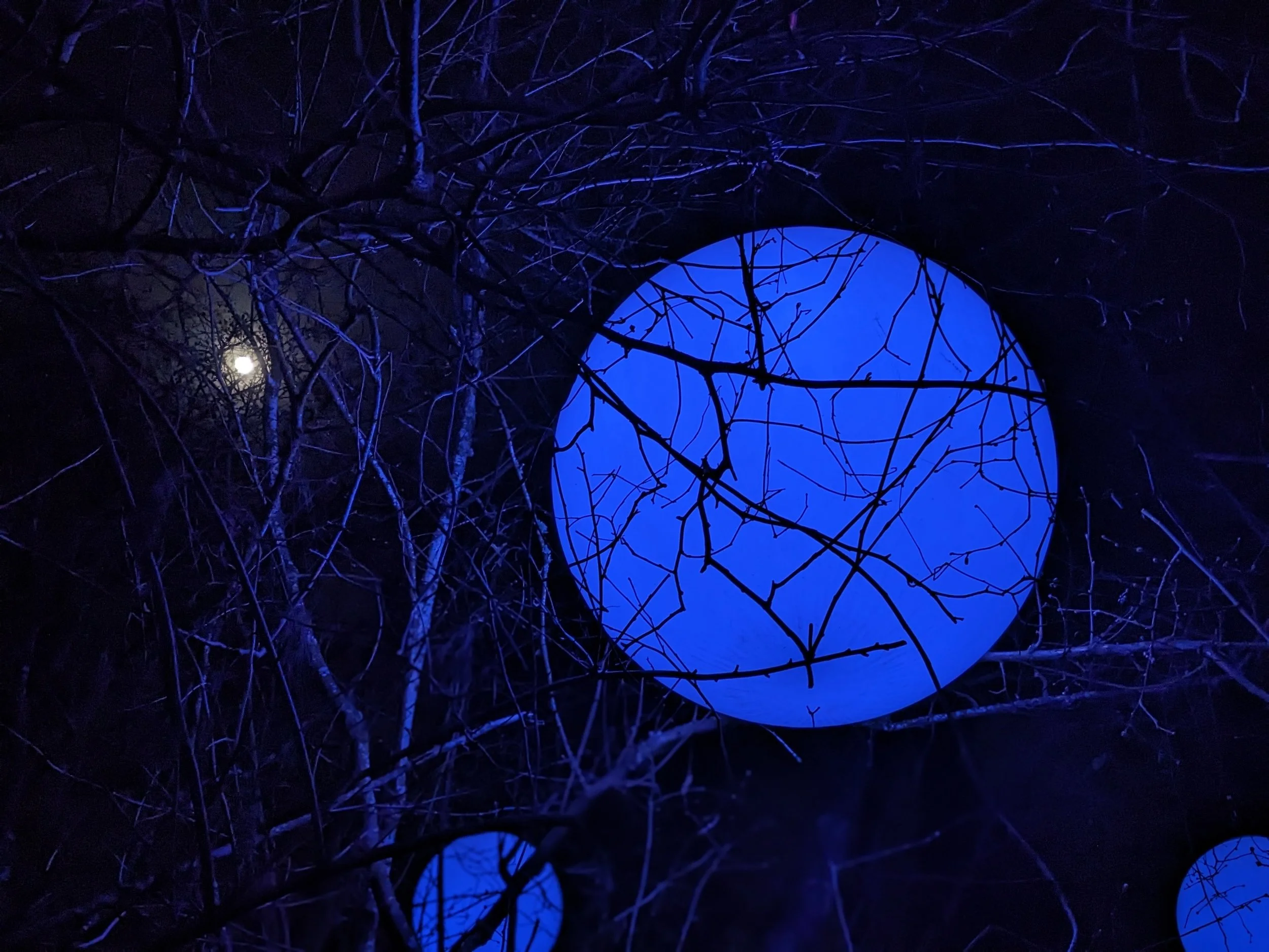 Welcome to 2025: A Time to Take Deep Care of Yourself