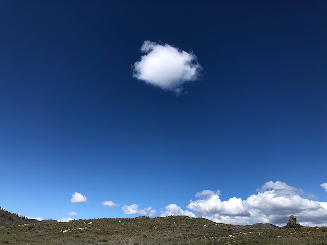 Becoming The Health Coach I Needed