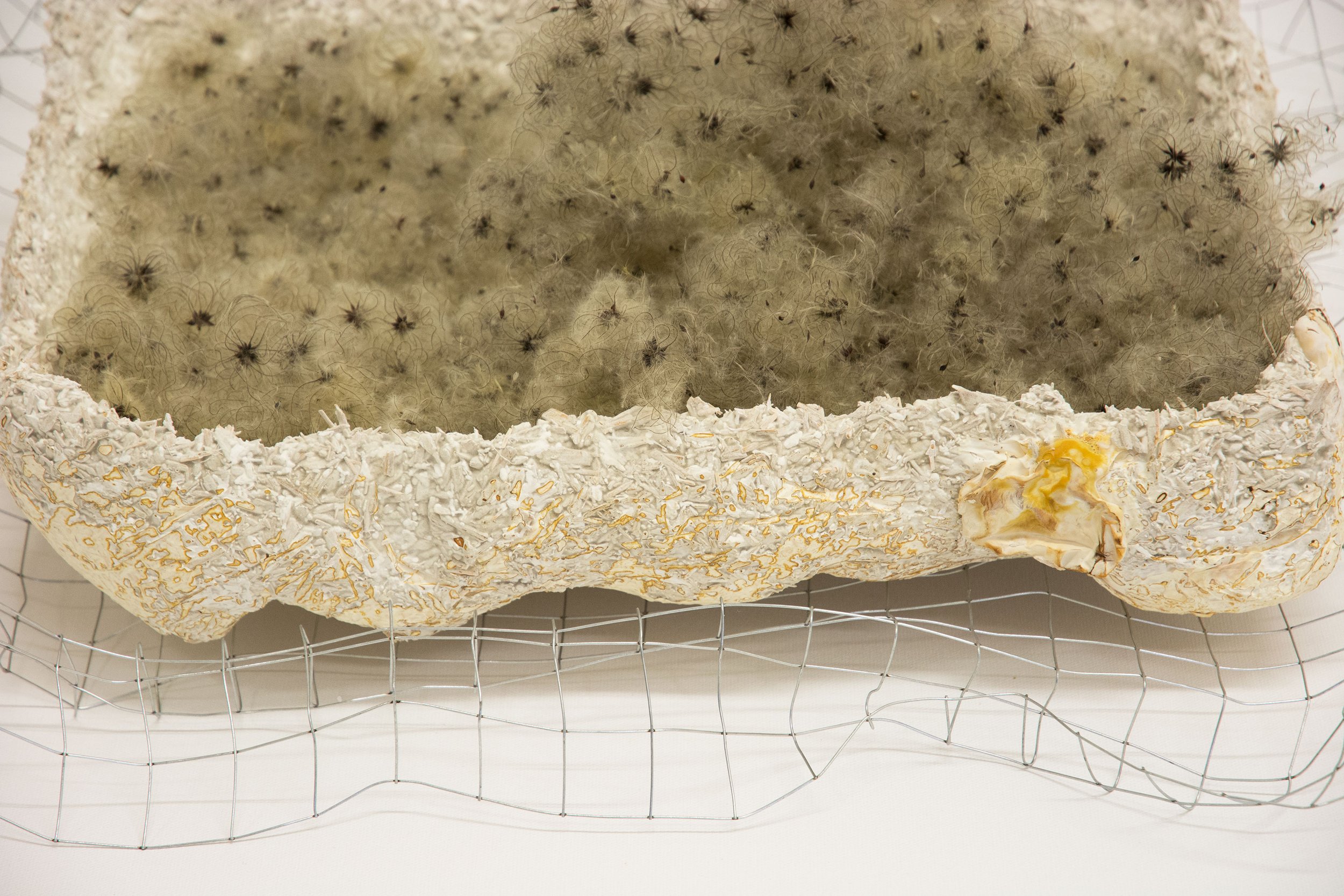 Kelly M O'Brien, She Wears Her Resilience Like a Crown . Mycelium, seedheads, wire. 56 x 74 x 48 cm ©2021