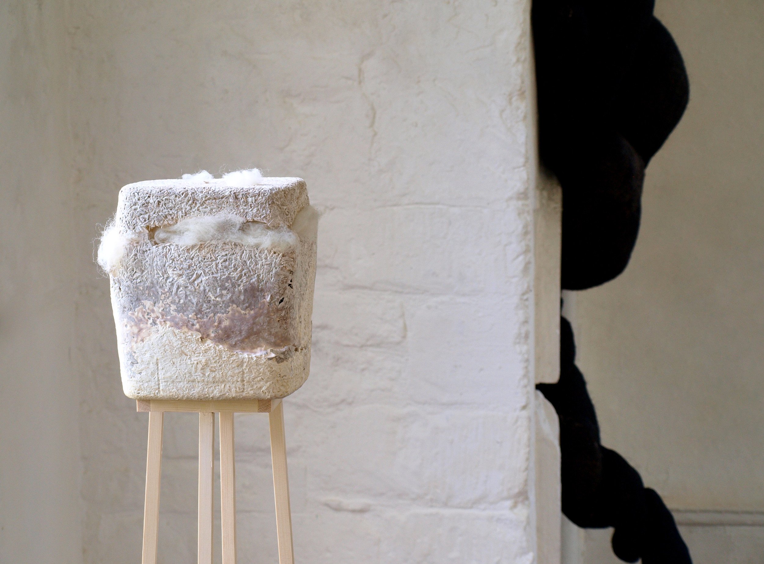  Kelly M O’Brien, Protective Nature. Cast mycelium, wool, wood. 160 x 30 x 30 cm ©2022 With Nicola Turner’s  Mortuary Chapel Site Response  Image: Kate McDonnell 