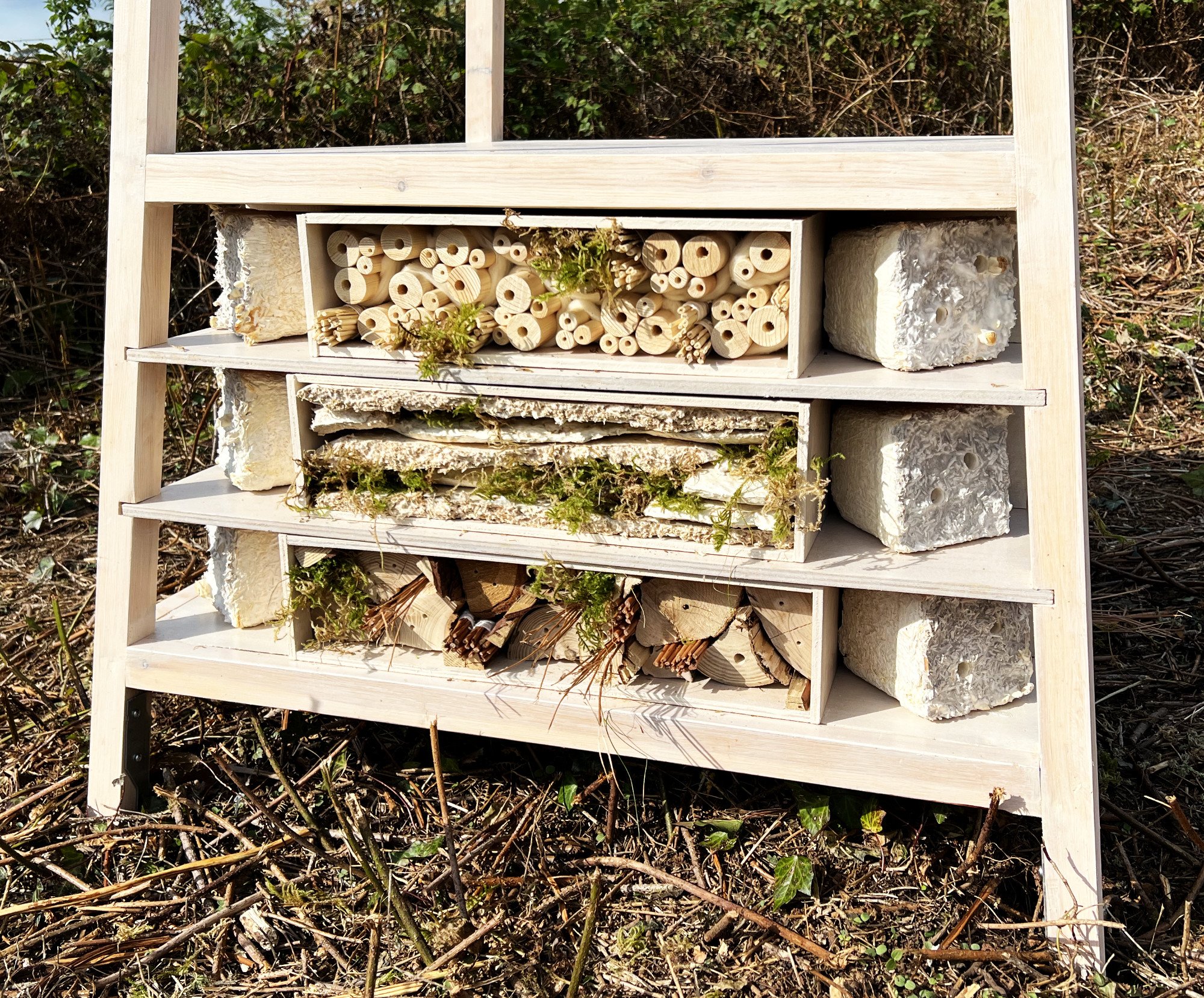  Kelly M O'Brien, Pollinator Sanctuary for Somerset Art Weeks 2022 at Deer Leap Nature Reserve (installation view) ©2022 