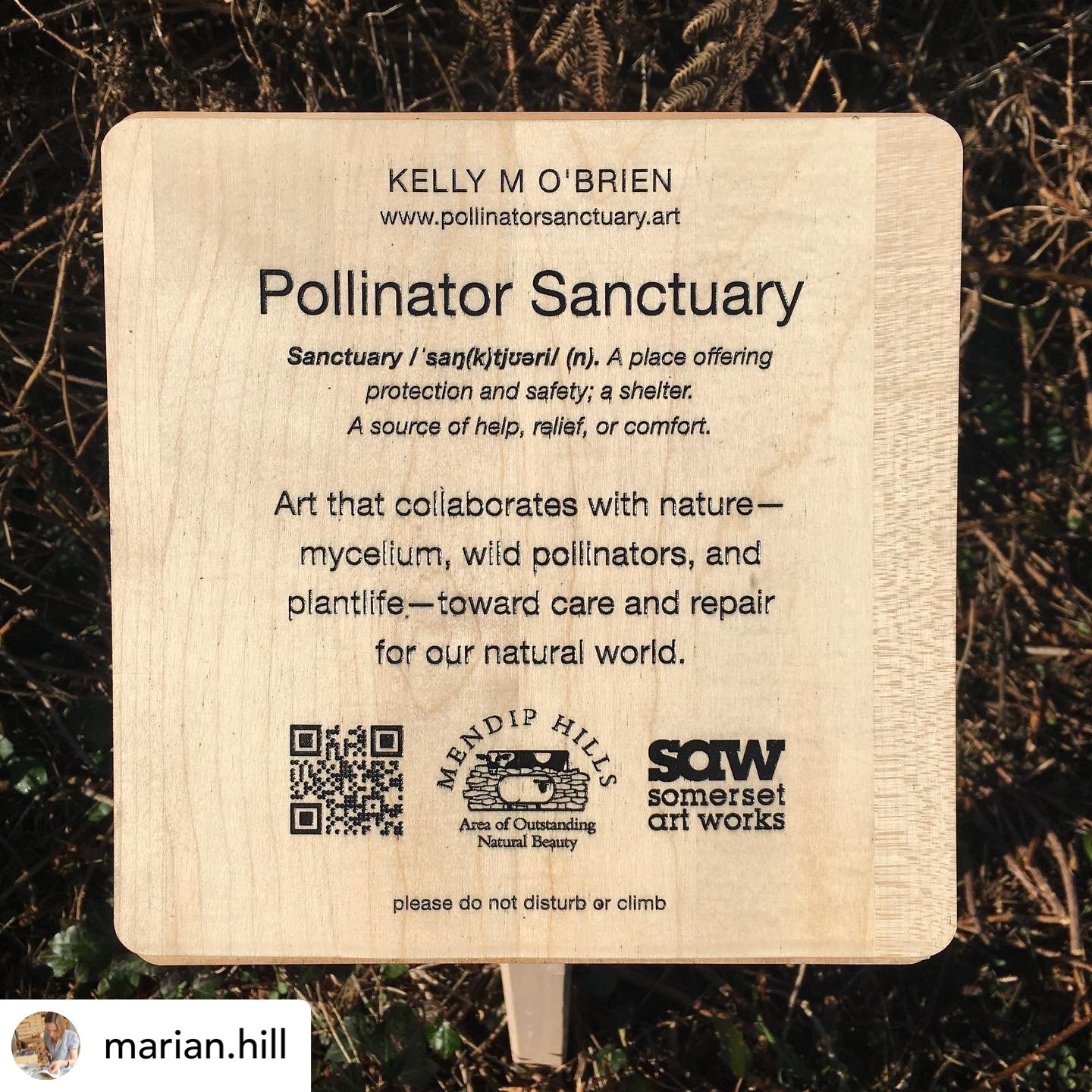  Kelly M O'Brien, Pollinator Sanctuary for Somerset Art Weeks 2022 at Deer Leap Nature Reserve (installation view) ©2022 