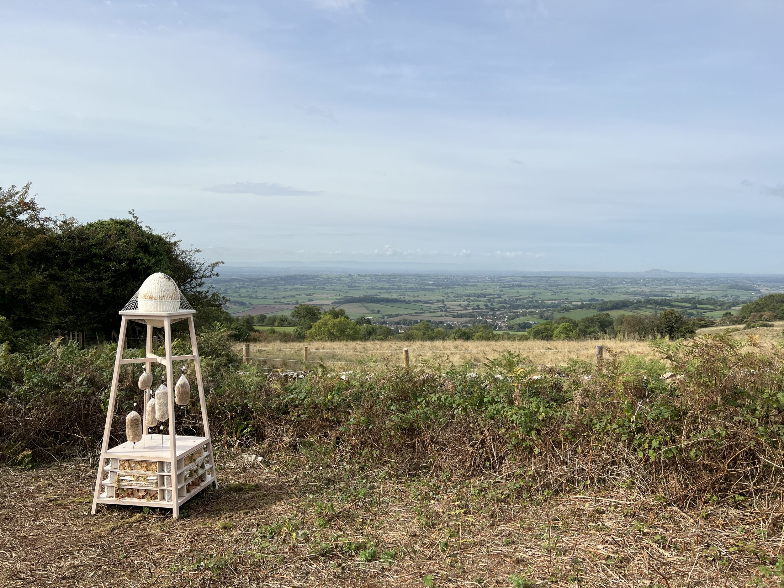  Kelly M O'Brien, Pollinator Sanctuary for Somerset Art Weeks 2022 at Deer Leap Nature Reserve (installation view) ©2022 