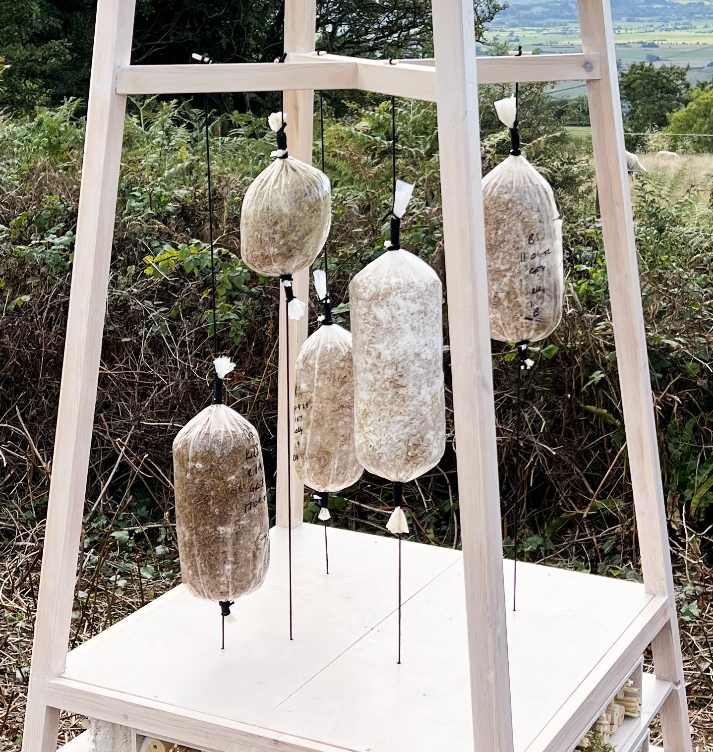 Kelly M O'Brien, Pollinator Sanctuary for Somerset Art Weeks 2022 at Deer Leap Nature Reserve (installation view) ©2022 