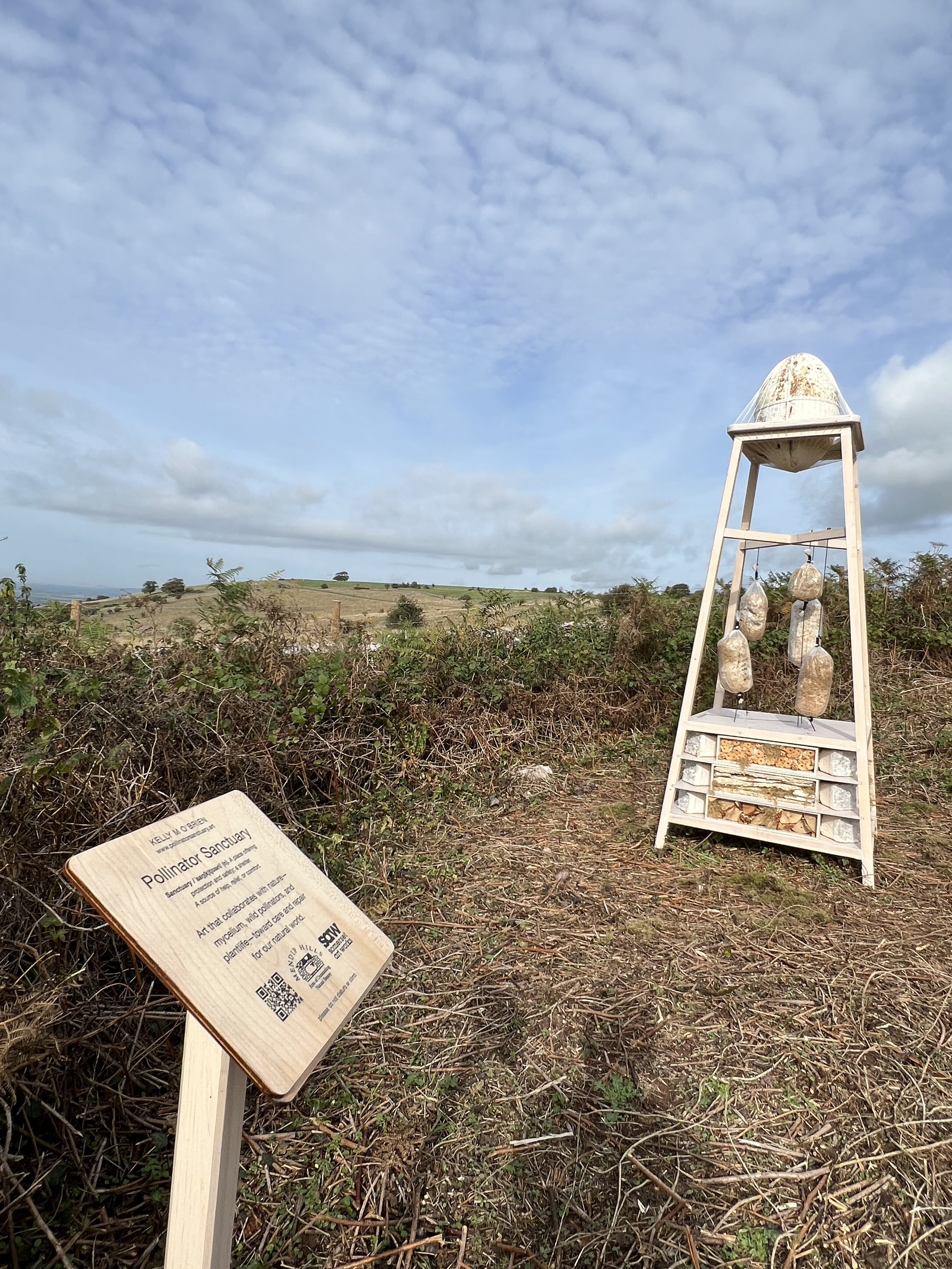  Kelly M O'Brien, Pollinator Sanctuary for Somerset Art Weeks 2022 at Deer Leap Nature Reserve (installation view) ©2022 