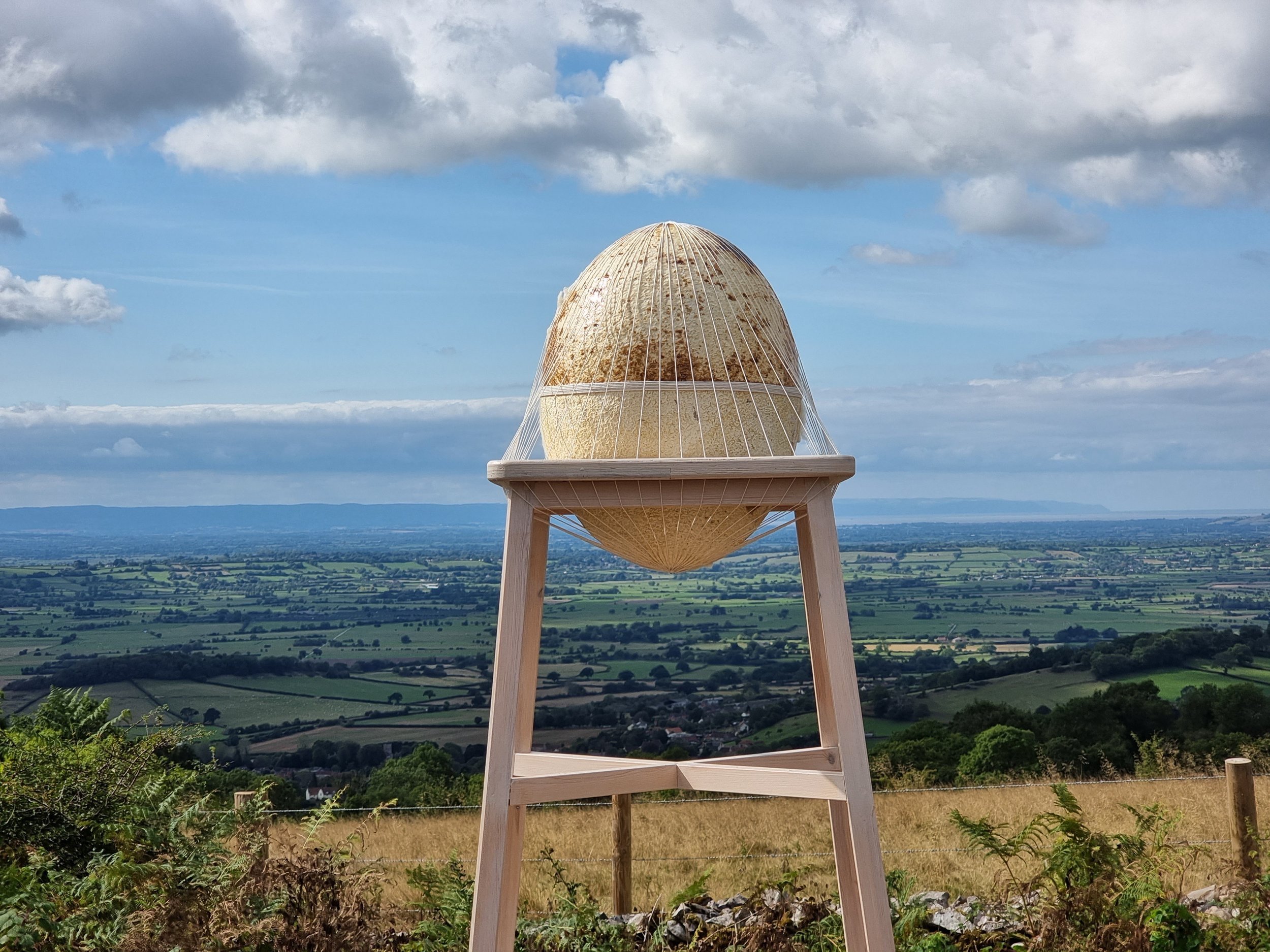  Kelly M O'Brien, Pollinator Sanctuary for Somerset Art Weeks 2022 at Deer Leap Nature Reserve (installation view) ©2022 